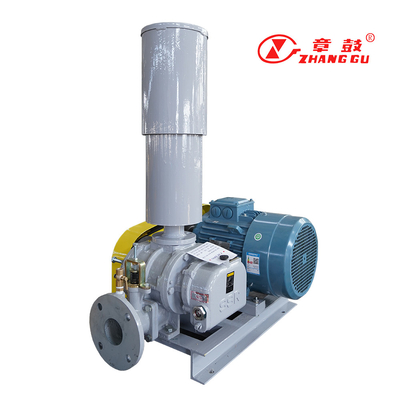SSR Kökler Vakum Pompası Kökler Booster Vakum Pompası Misyon Kritik Süreçler İçin