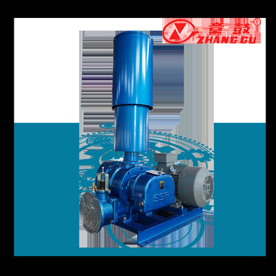 SSR Kökler Vakum Pompası Kökler Booster Vakum Pompası Misyon Kritik Süreçler İçin
